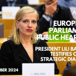 European Parliament public hearing: President Lili Balogh testifies on the Strategic Dialogue