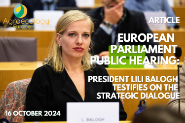 European Parliament public hearing: President Lili Balogh testifies on the Strategic Dialogue