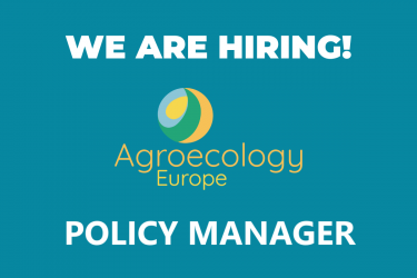 AEEU is looking for a Policy Manager